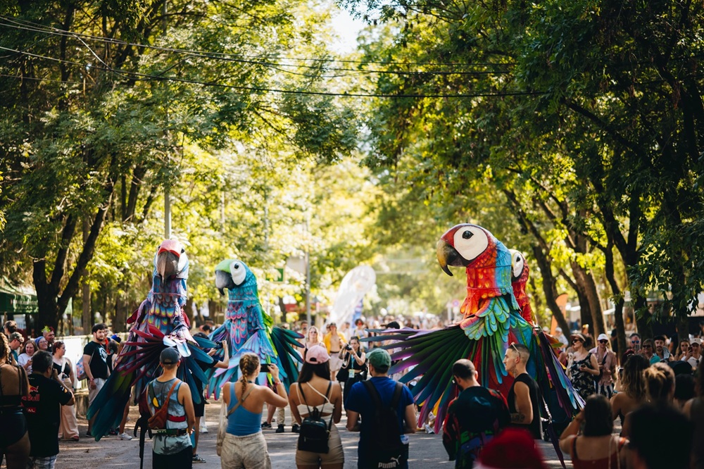 Sziget: megérkeztek az újabb nevek